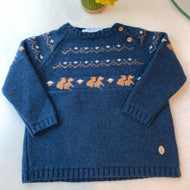 Chompa jersey ardillas azul Pili Carrera